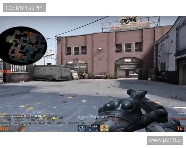 李秀英专访：从新手到高手的CSGO成长之路与心路历程分享